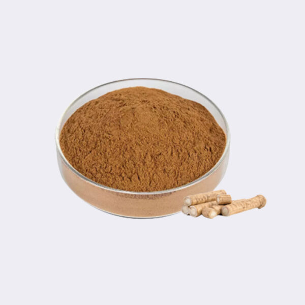 Organic Burdock Root Extract Powder