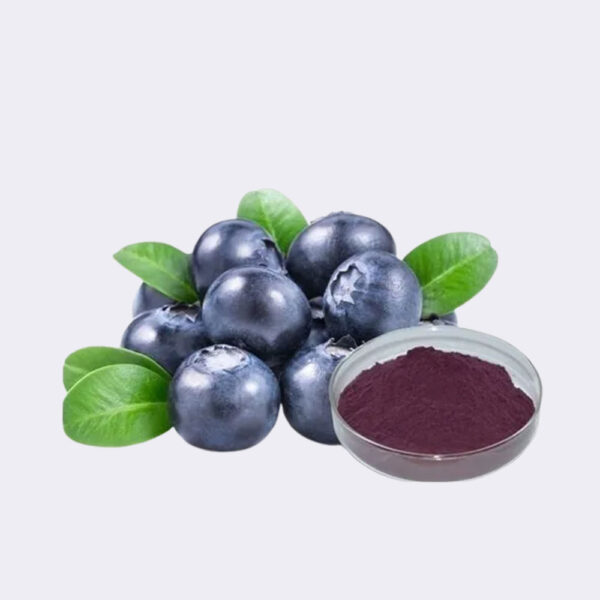Organic Bilberry Extract